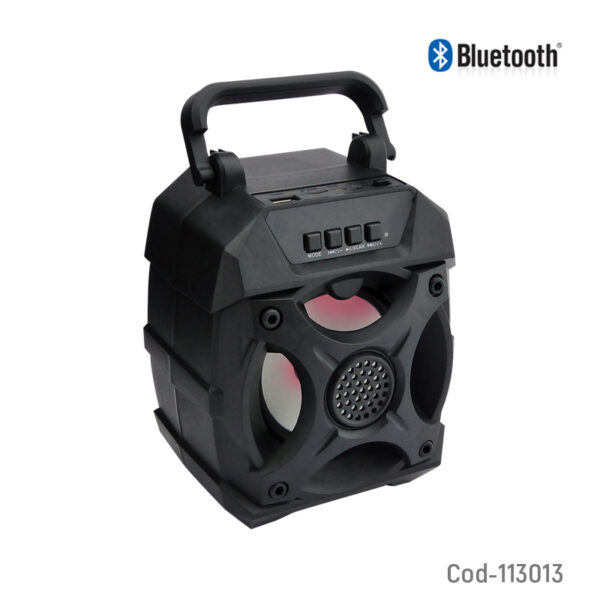Parlante, Bluetooth, FM, USB, TF, AUX, Recargable